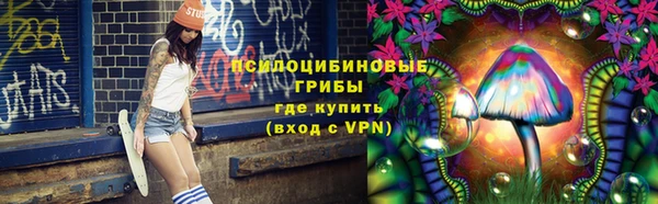 стафф Аркадак