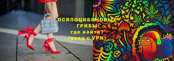 стафф Аркадак