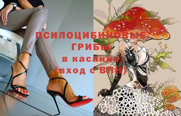 стафф Аркадак