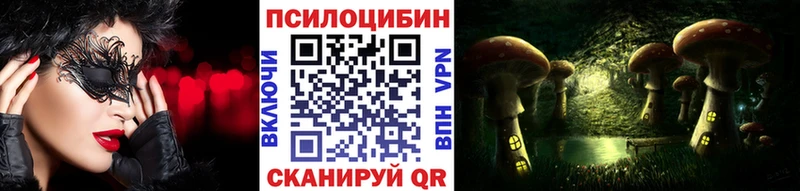 магазин  наркотиков  Лахденпохья  Галлюциногенные грибы Psilocybine cubensis 